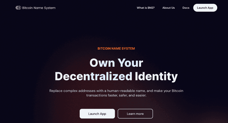Picture of Bitcoin Name System landing page